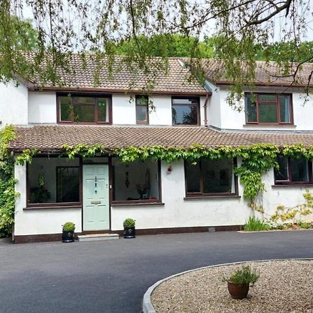 Riverfield Bed And Breakfast Gorey Exterior foto