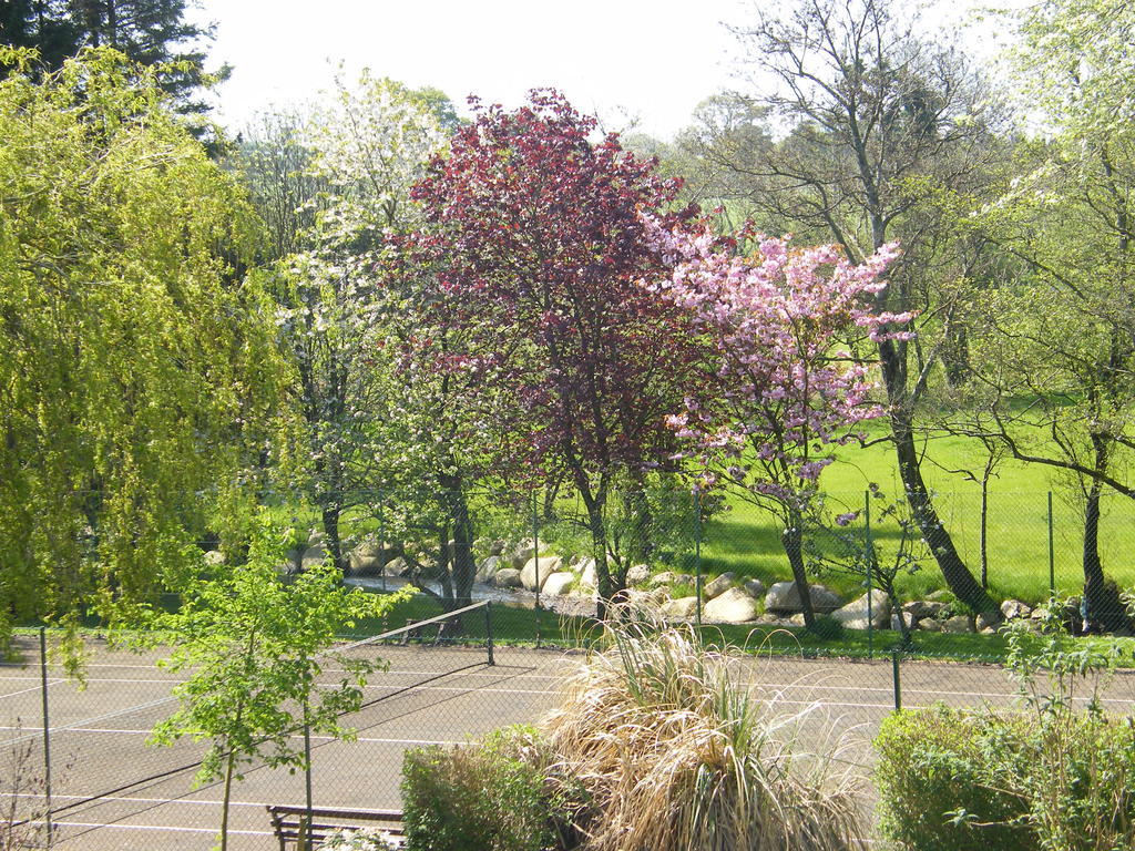 Riverfield Bed And Breakfast Gorey Exterior foto