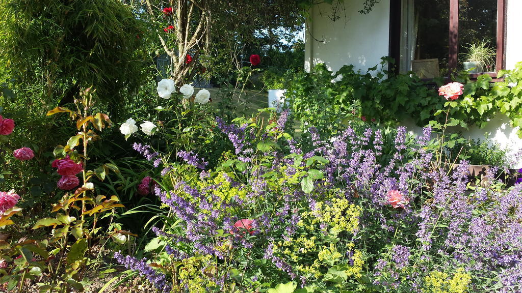 Riverfield Bed And Breakfast Gorey Exterior foto