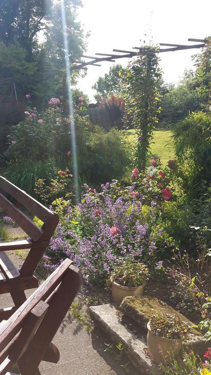 Riverfield Bed And Breakfast Gorey Exterior foto
